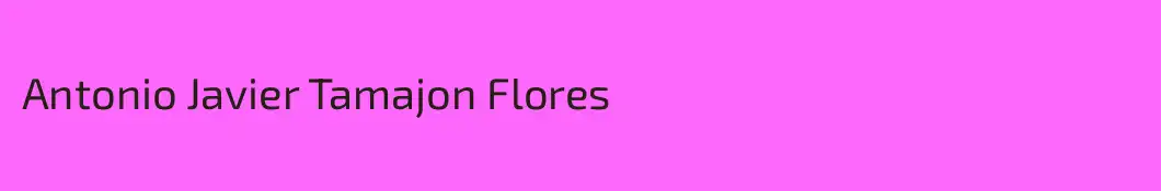 Antonio Javier Tamajon Flores